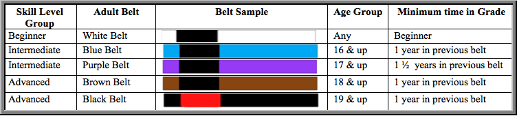 Jiu jitsu outlet belt rankings